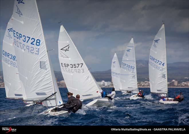 2014 Gaastra PalmaVela - Flying Fifteen fleet downwind © Maria Muina